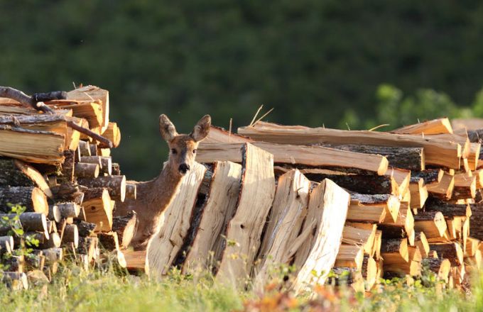 Inscriptions affouages