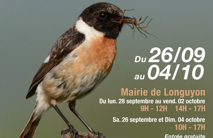 Exposition photos Patrick Zimmer