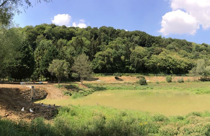 Remise en eau de l'étang de Profonde Fontaine